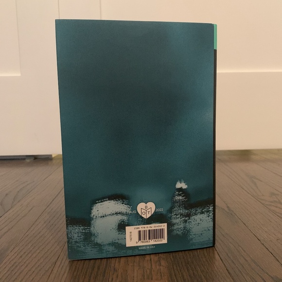 "When We Were Bright and Beautiful" by Jillian Medoff - Picture 2 of 4